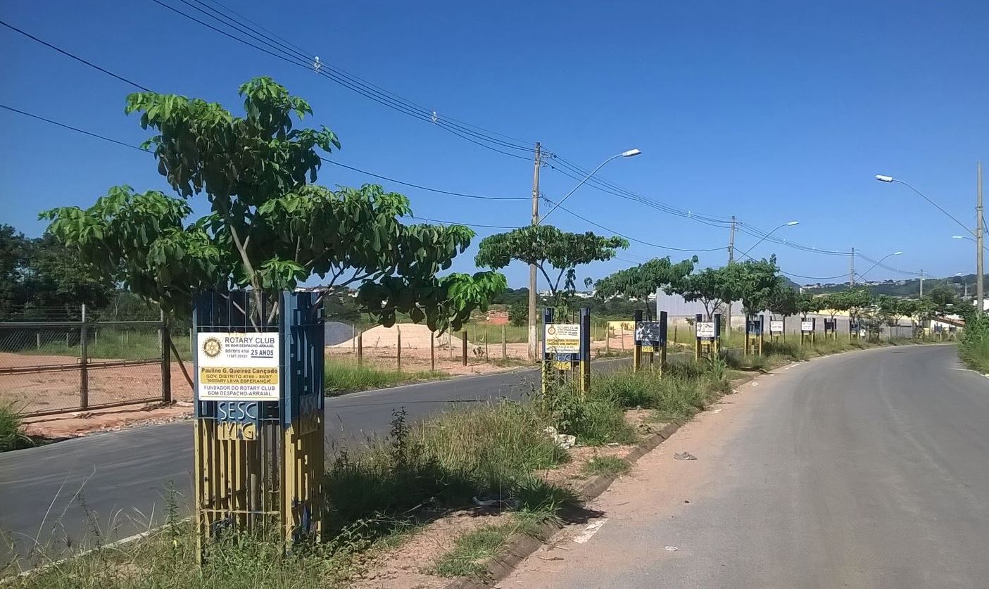 Av. dos Pequis - O Rotary Club por ocasião dos seus 25 anos plantou e cuida de mais de 40 ipês.
